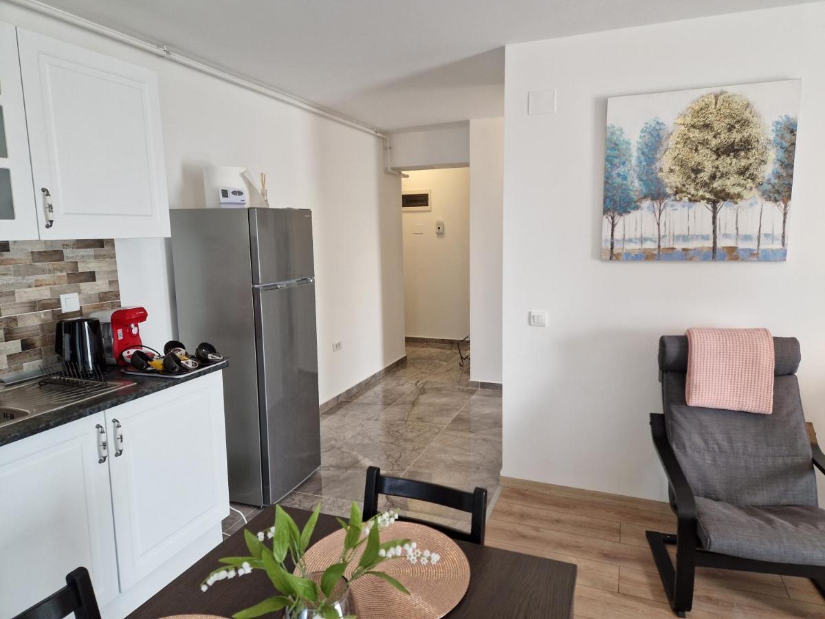 Star Airport Residence Отопень Екстер'єр фото